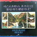 금강산이 울고 있네 / 김미수 (1987) 이미지