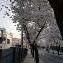 이마트24 진영죽곡공단점 | 27/금요일]김해시 진영읍 서부로179번길(나만일상기록&주간근무지&진영죽곡농공단지&벚꽃거리)기록 입니다