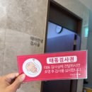 태동 | 임신 32주 태동검사 후기 임신 9개월 백일해주사까지 맞았어요