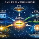 오케스트레이션-OR 이론(Orch-OR Theory)과 관련된 장(field) 이미지