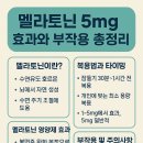 신호등약국 | 멜라토닌 5mg 효과와 부작용 총정리｜복용법부터 수면 개선 후기까지