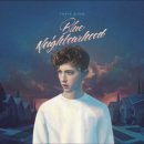 Troye Sivan - Fools 이미지