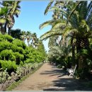 한림공원 이미지