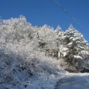 진철농장 이미지