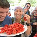 거창-가북-3 이미지