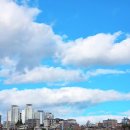 비둘기공원 화장실 | 부산 진구 _ 부산시민공원 아이와 함께 벚꽃 구경 나들이