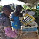 왕벌농장 이미지