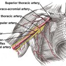 PT의 정석 운동재활센터 이미지