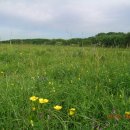 모스가든 이미지