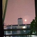 달빛추억 이미지