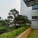 강남-237 이미지