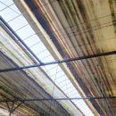 기곡농장 이미지