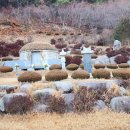 금산면사무소 이미지