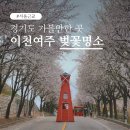 경충대로 2709번길 2 | 서울 근교 벚꽃 명소 경기도 이천부터 여주까지 드라이브 코스 추천