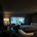 영화헬스클럽 | 서부 여행] 라스베가스 2 - MGM Grand 호텔, 헬스키친, 스피어 쇼, 데이 클럽, 치펜데일 쇼, 하카산 클럽