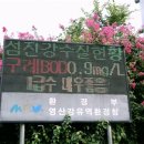 섬진장 Daum카페