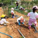 시흥-목감-시흥-007 이미지