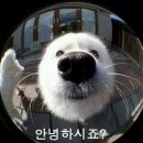 루스헤어 - 화성시 동탄장지천5길 20-8 | 루스헤어
