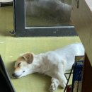 카페여연 이미지