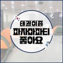 태권이즘 태권도장 네이버블로그