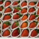 이암농장 이미지