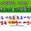 유니베라칠곡대리점