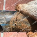 남악2로 22번길 이미지