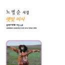 노명순 유작시집 -『햇빛 미사』(문학아카데미, 2011) 이미지