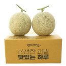 당돈 쇼핑하우