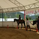 태백승마클럽 이미지