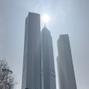 조양식당 | 이씨거다탕 :: 연태 조양가 거리 맛집 방문 후기, 필수 주문 메뉴 추천