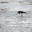 갯골안4 이미지