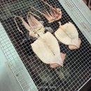 진동리의 아침 | 인제펜션 곰배령숙소 &#34;진동리의 아침&#34;