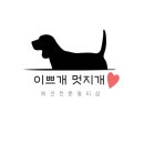 개멋지개 이미지