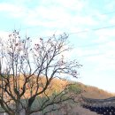 사계절, 몽 | 광주 남한산성 아이랑 예쁜 계곡카페 디저트맛집 몽쥬이에