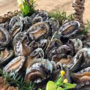 해신수산 이미지