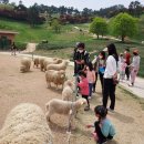 진섬농장 이미지