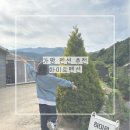 하미르펜션 이미지