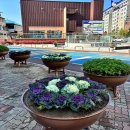 계림동주민센터 이미지