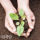 한울타리사람들 Daum카페