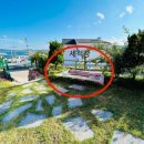 프리티퀸 이미지