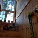 제주편백휴낭 이미지