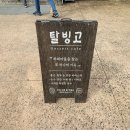 탈빙고