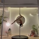 폴타임 - 창녕군 남고길 24-9 | 서울 잠실 폴댄스 추천! 온폴댄스 내돈내산 후기