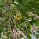 상록수농장 이미지