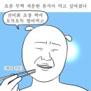 한 술