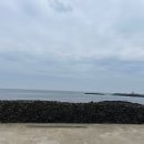 플라이무드 이미지