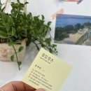 대구 꽃집) 대구혁신도시꽃집랑온/대구플라워클래스/대구부케