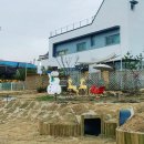 도그도기 이미지