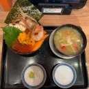 [일본 한달살기] 한달살기 후기 및 맛집 추천 , 비용 총 정리